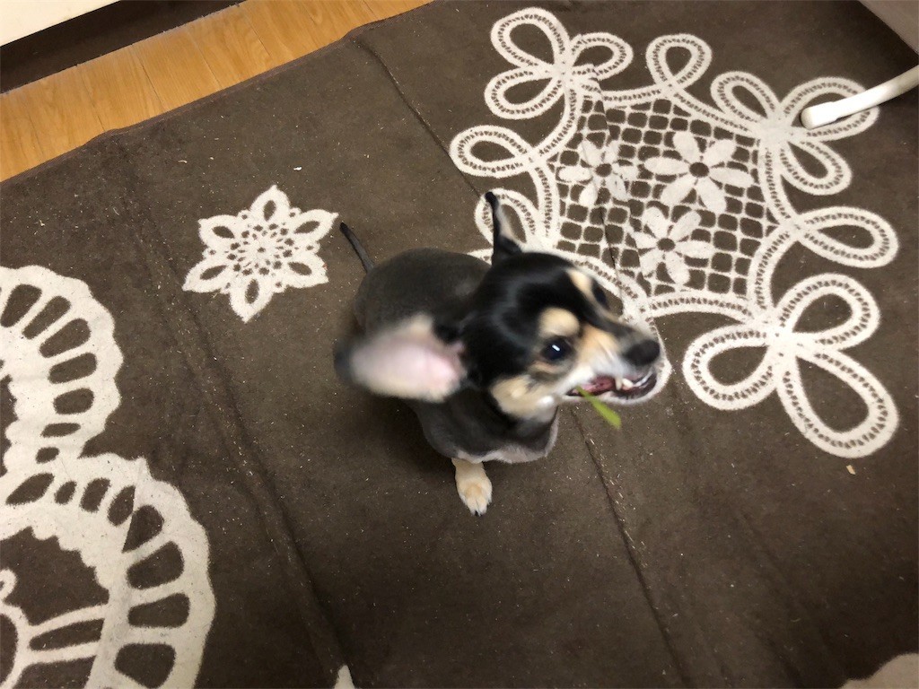f:id:akie1000:20180410231415j:image