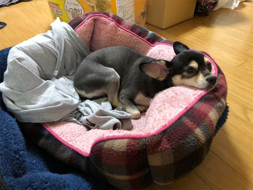 f:id:akie1000:20180411141107j:image