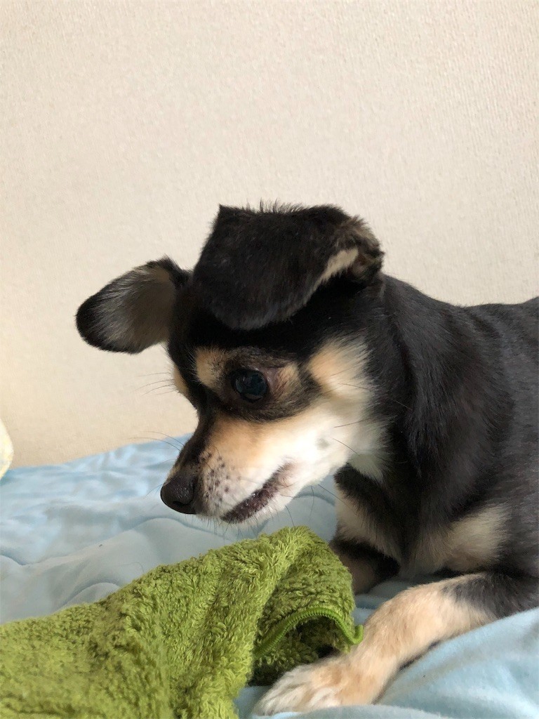 f:id:akie1000:20180427002814j:image