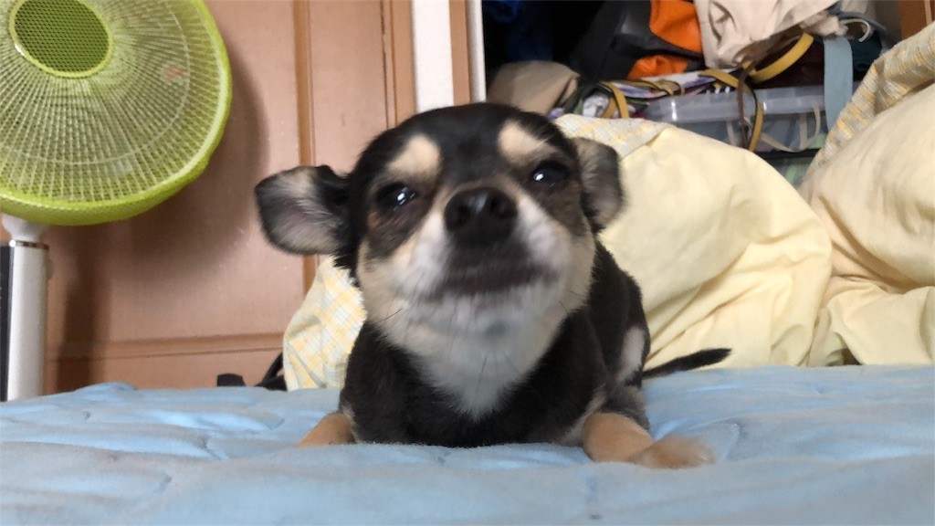 f:id:akie1000:20180430220700j:image