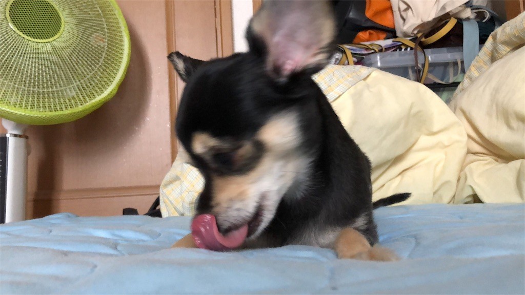 f:id:akie1000:20180430220800j:image