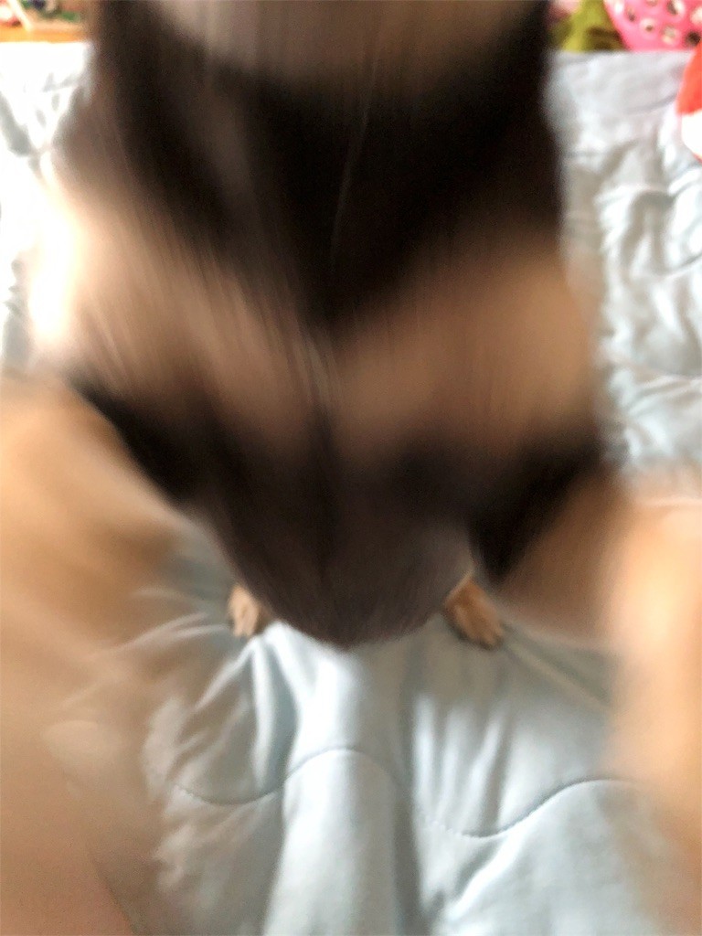f:id:akie1000:20180430230241j:image