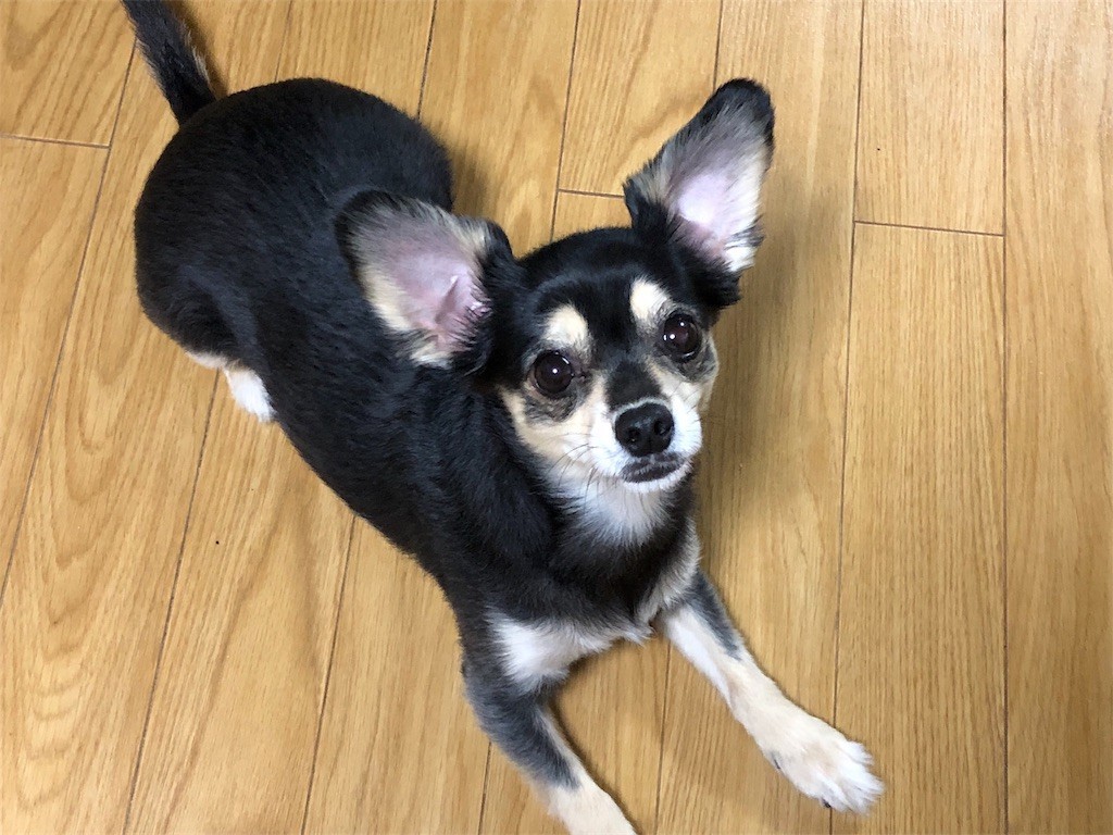 f:id:akie1000:20180516012633j:image