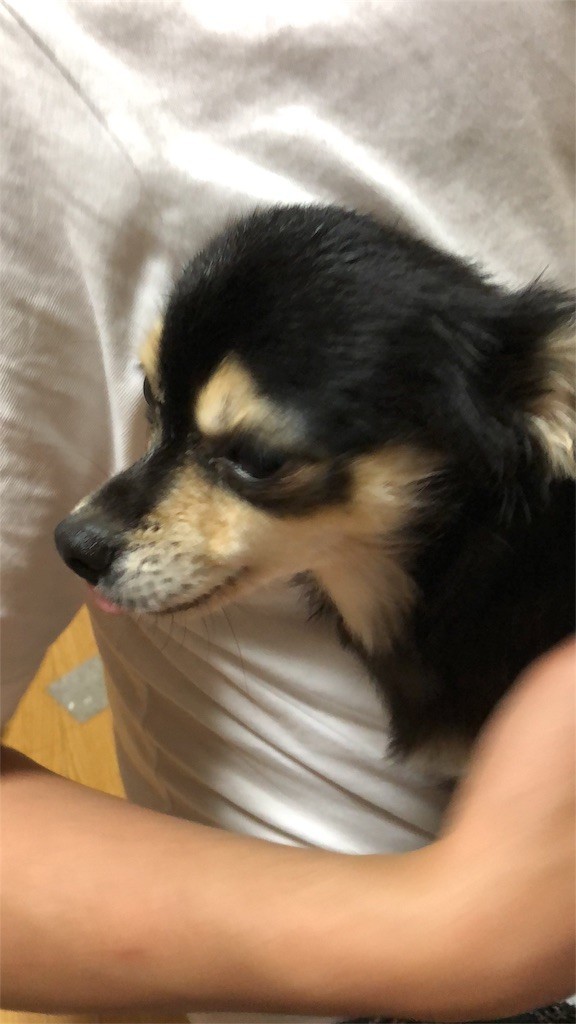 f:id:akie1000:20180523010953j:image