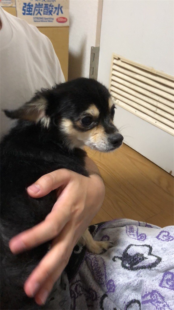 f:id:akie1000:20180523011053j:image