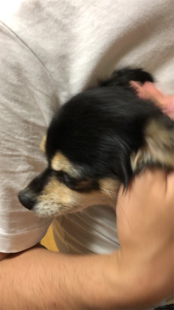 f:id:akie1000:20180523011100j:image