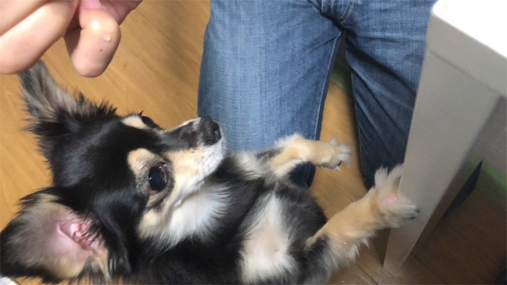 f:id:akie1000:20180619013910j:image