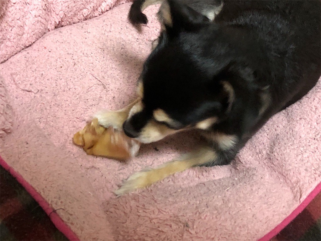 f:id:akie1000:20180817005824j:image