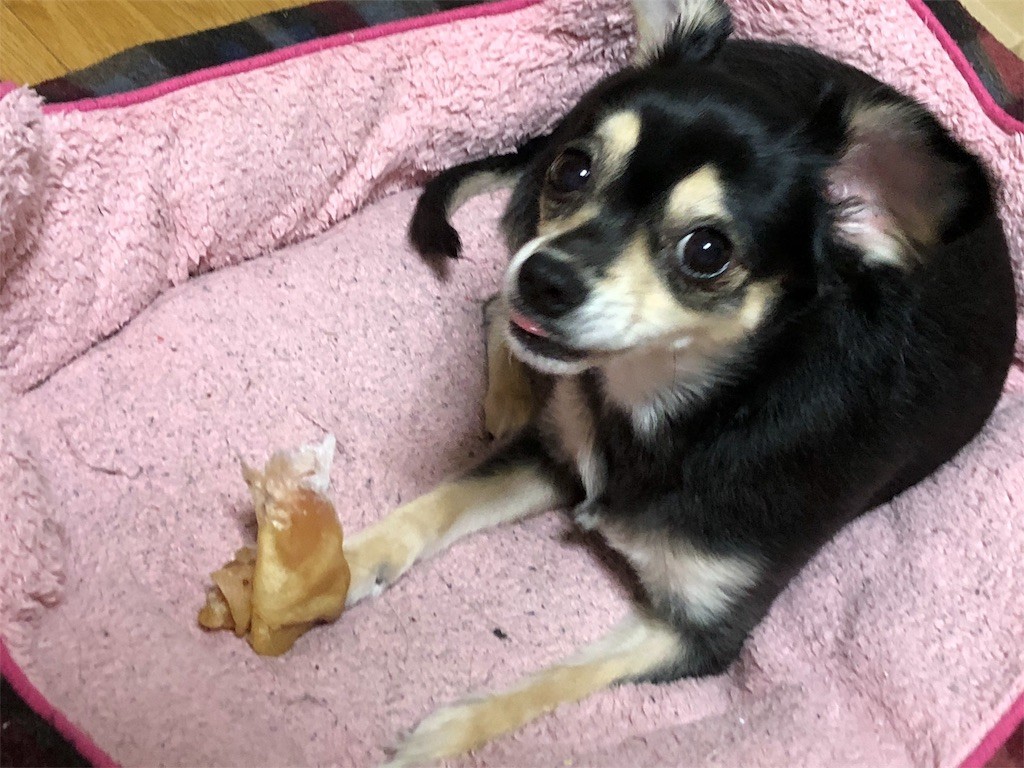 f:id:akie1000:20180817005836j:image