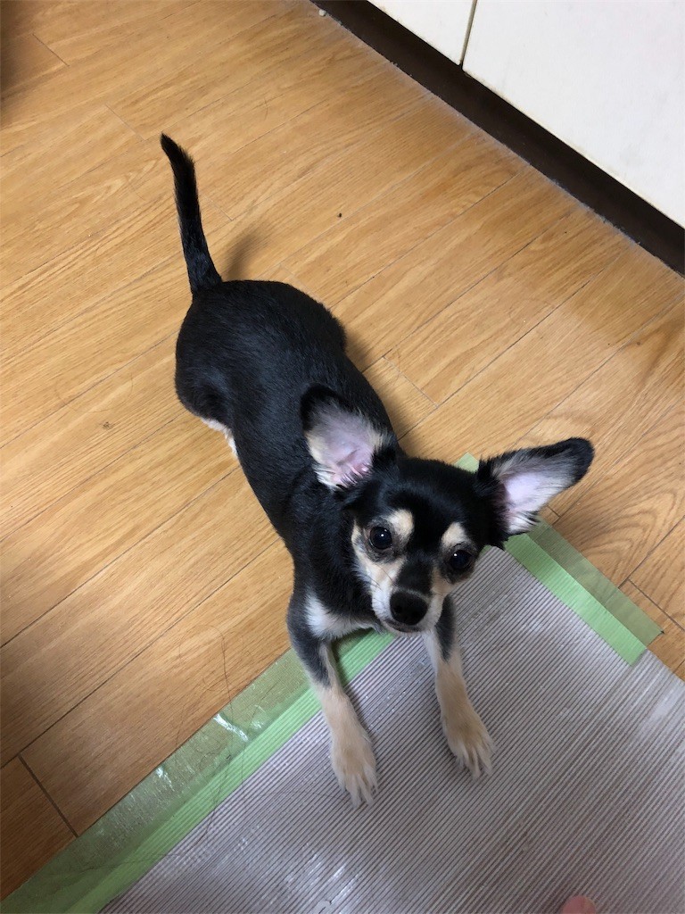 f:id:akie1000:20180817005840j:image