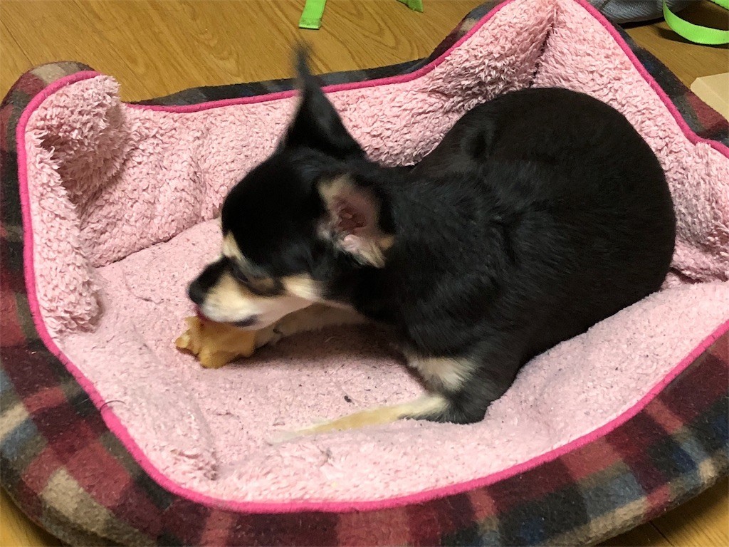 f:id:akie1000:20180817005845j:image