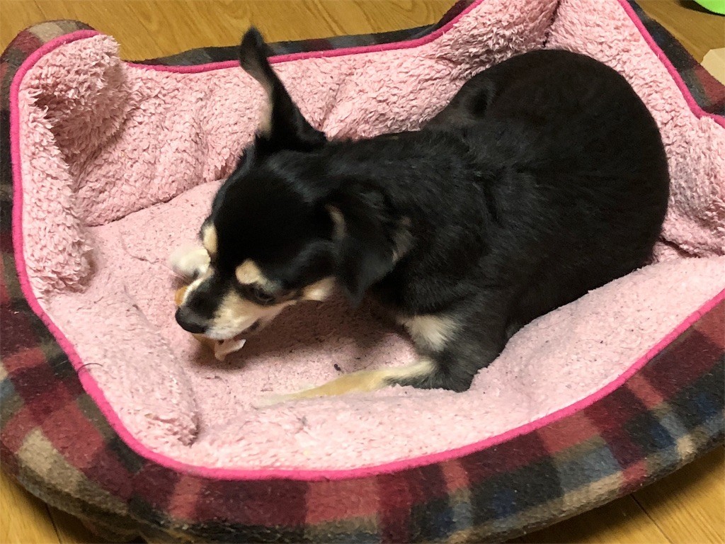 f:id:akie1000:20180817005848j:image