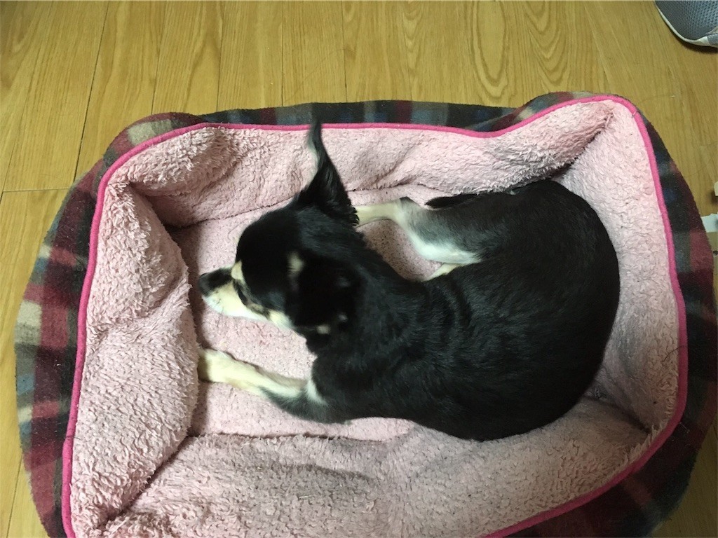 f:id:akie1000:20180817005852j:image