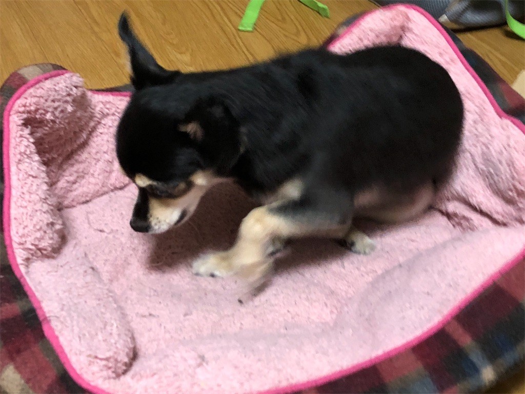 f:id:akie1000:20180817005856j:image