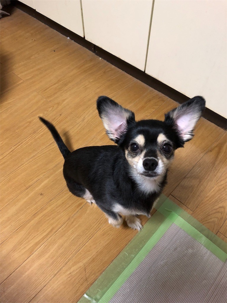 f:id:akie1000:20180817005859j:image