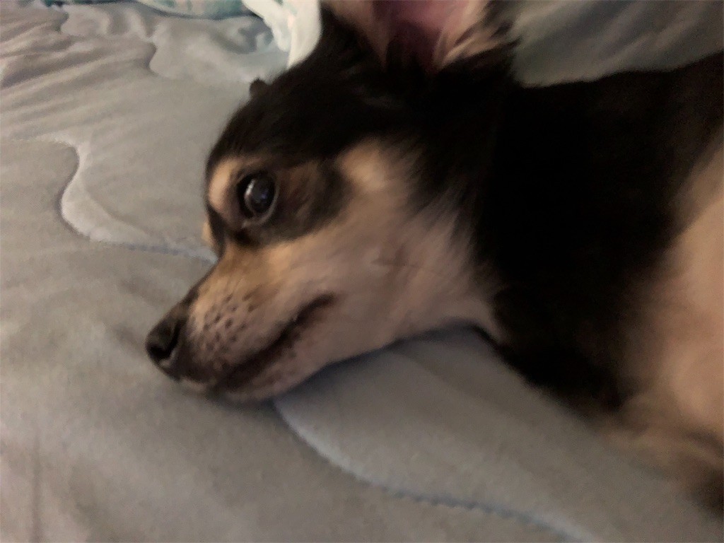 f:id:akie1000:20180823232904j:image