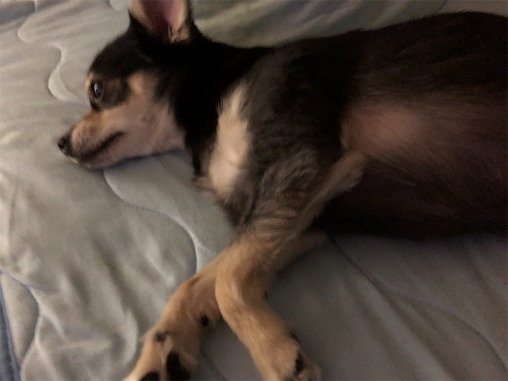 f:id:akie1000:20180823232908j:image