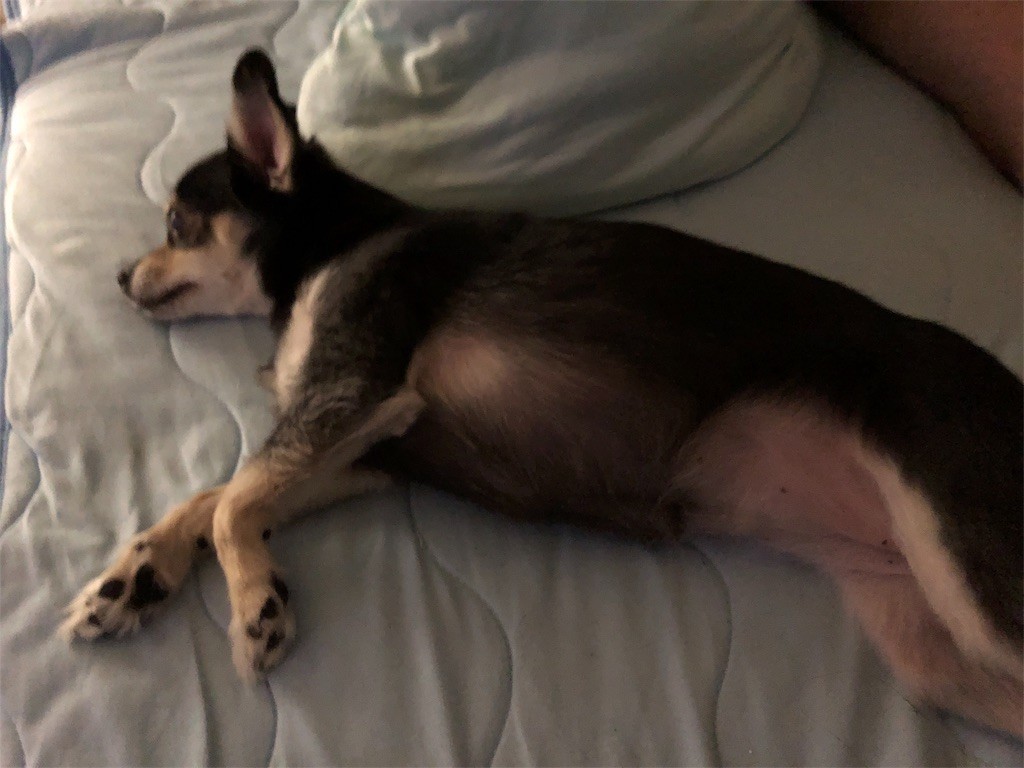 f:id:akie1000:20180823232912j:image