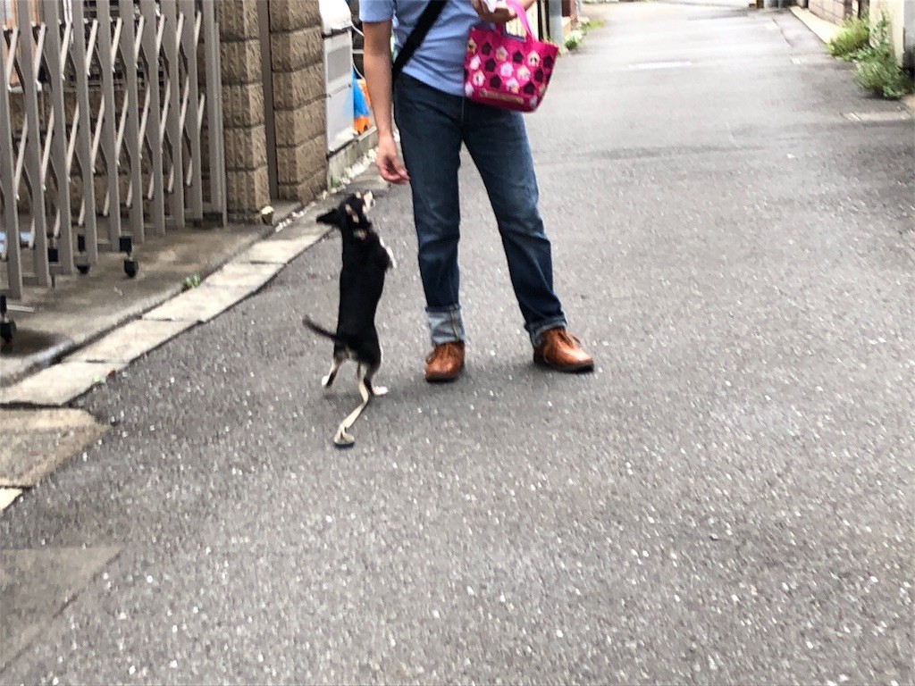f:id:akie1000:20180902221210j:image