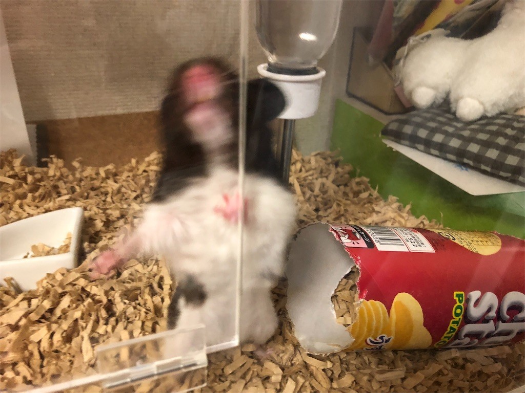 f:id:akie1000:20180902223849j:image