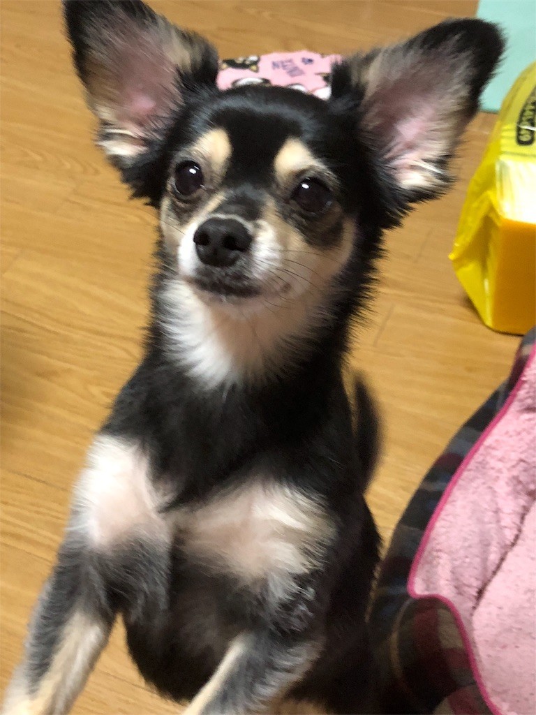 f:id:akie1000:20180902233921j:image