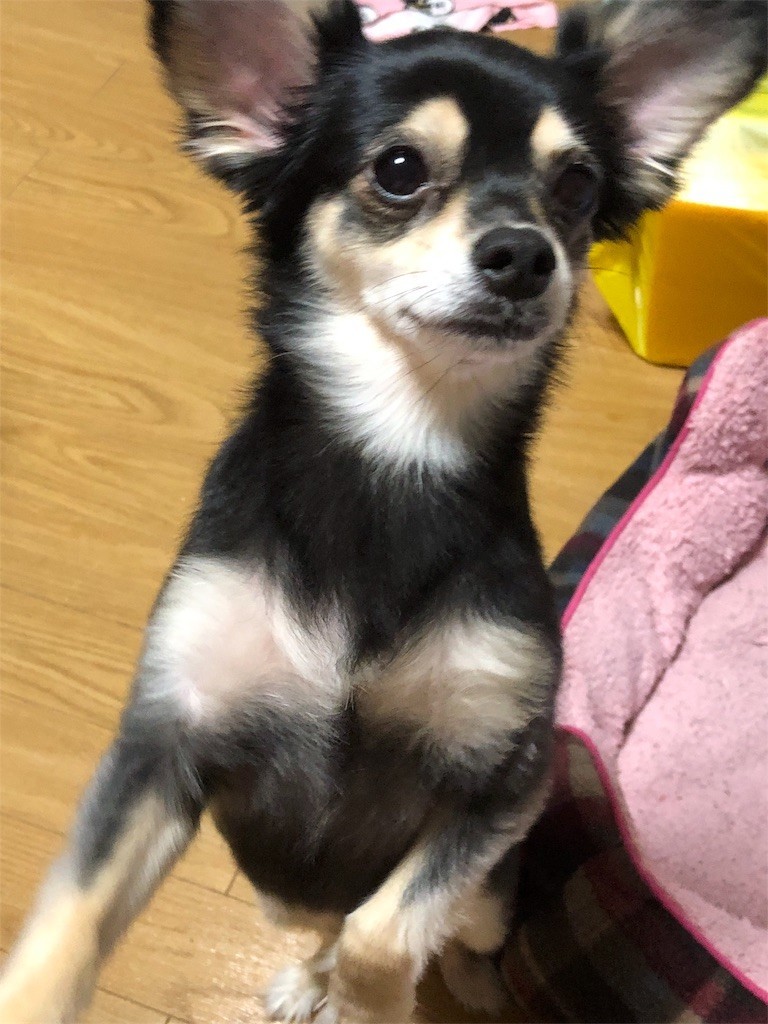 f:id:akie1000:20180902233924j:image