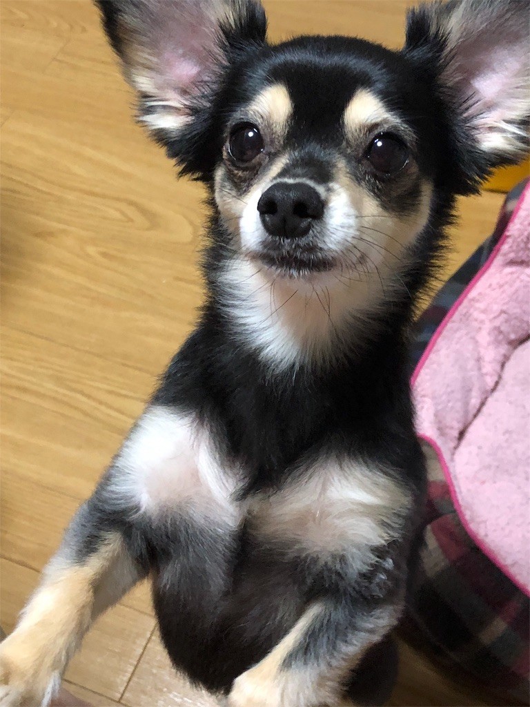f:id:akie1000:20180902233927j:image
