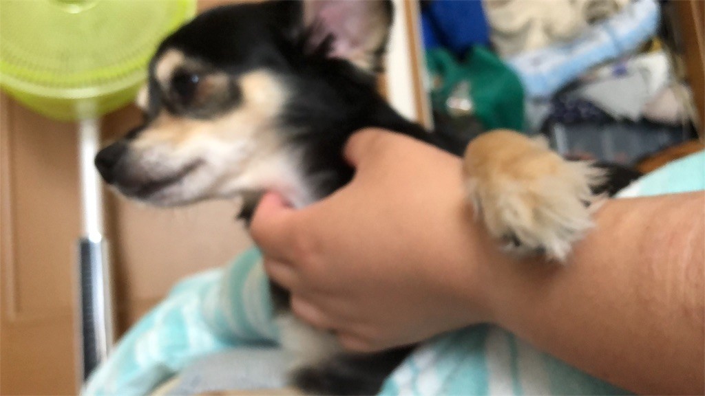 f:id:akie1000:20180902234145j:image