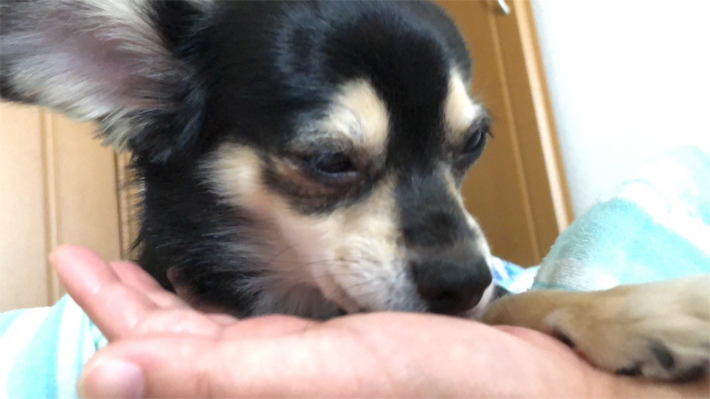 f:id:akie1000:20180902234155j:image