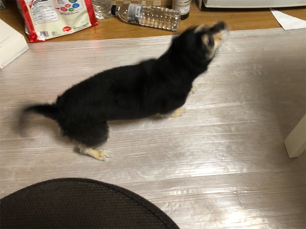 f:id:akie1000:20180908211902j:image
