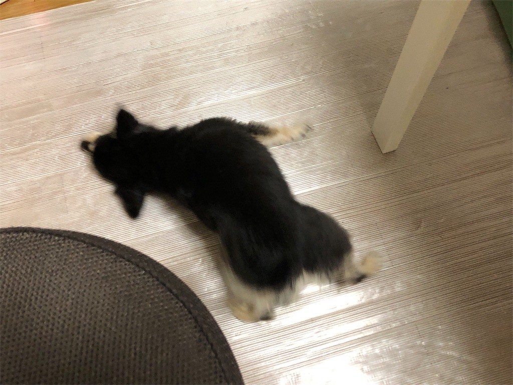 f:id:akie1000:20180908211911j:image