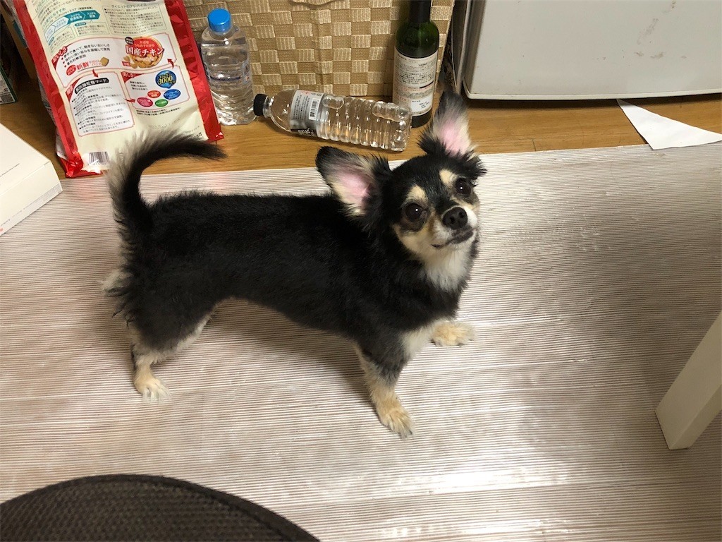 f:id:akie1000:20180908211915j:image