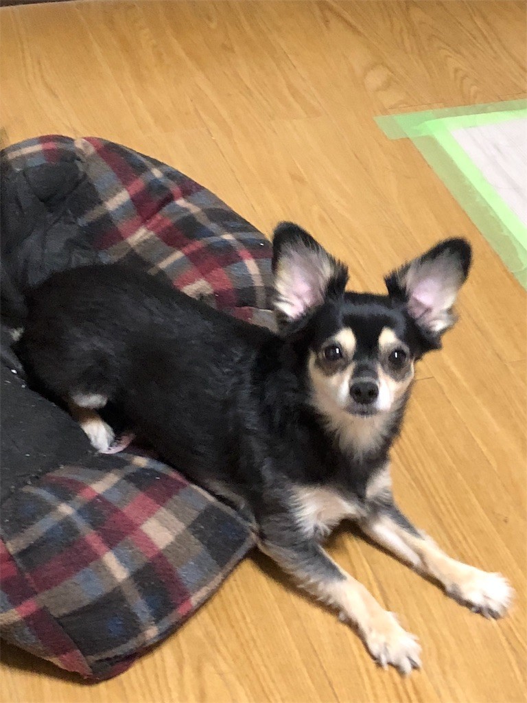 f:id:akie1000:20180908235627j:image