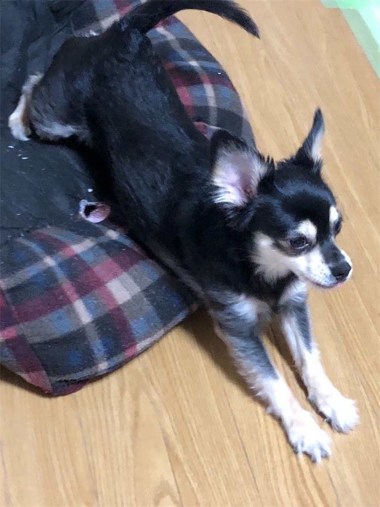 f:id:akie1000:20180908235636j:image