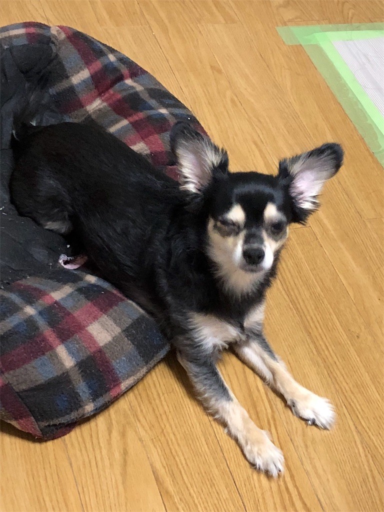 f:id:akie1000:20180908235654j:image