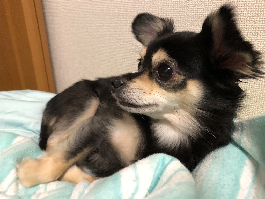 f:id:akie1000:20180913015051j:image