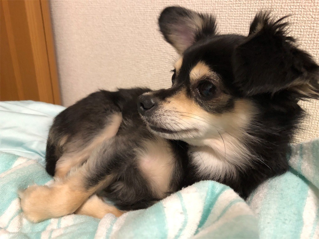 f:id:akie1000:20180913015054j:image