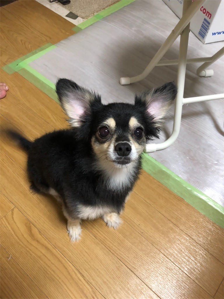 f:id:akie1000:20180916235032j:image