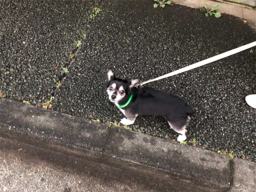 f:id:akie1000:20180916235038j:image