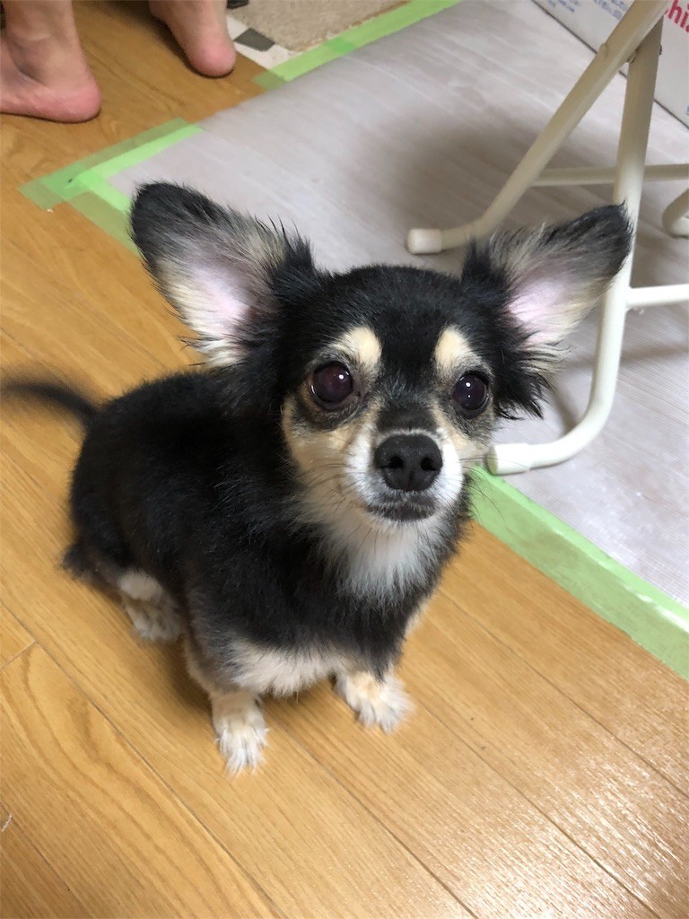 f:id:akie1000:20180916235047j:image