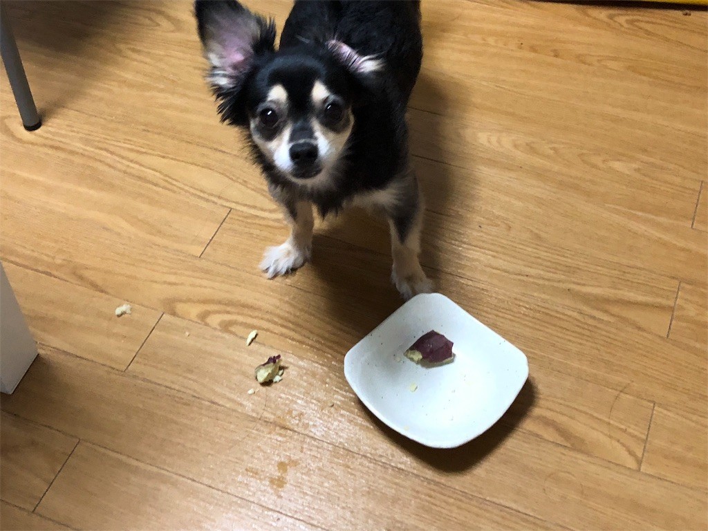 f:id:akie1000:20180919012221j:image