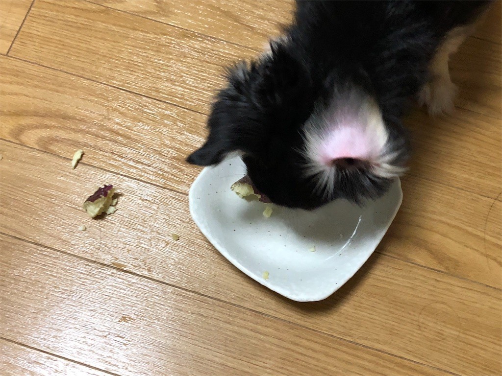 f:id:akie1000:20180919012223j:image