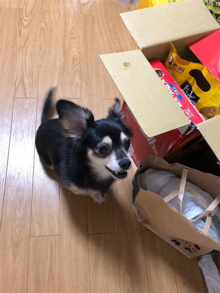 f:id:akie1000:20180919012229j:image