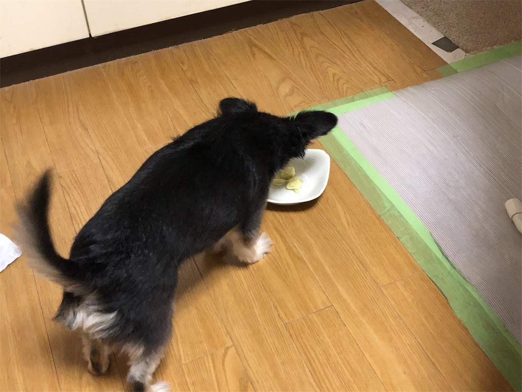 f:id:akie1000:20180921003447j:image