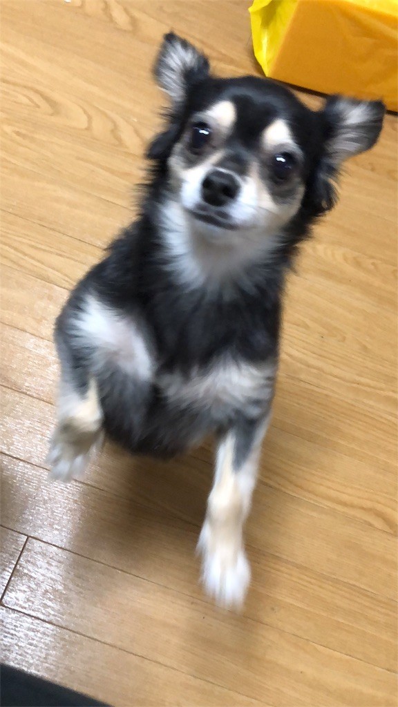 f:id:akie1000:20180921004035j:image