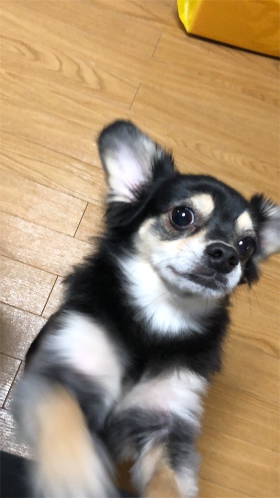 f:id:akie1000:20180921004040j:image