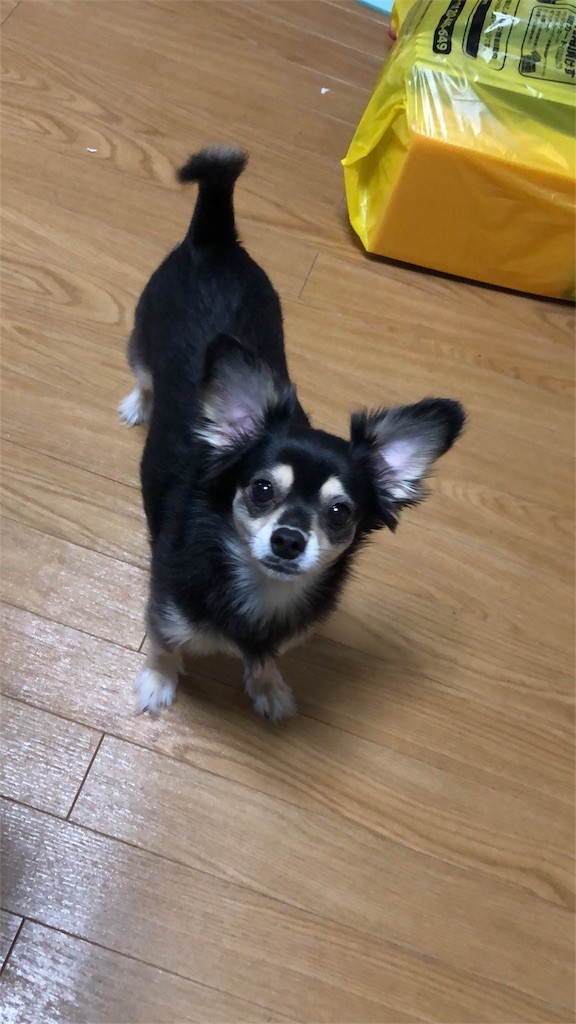f:id:akie1000:20180921004043j:image