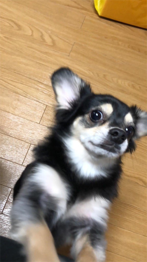 f:id:akie1000:20180921004045j:image