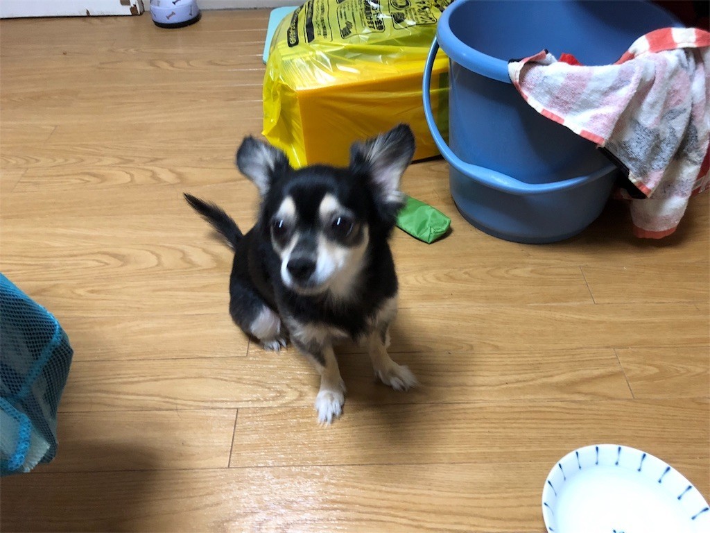 f:id:akie1000:20180921004500j:image