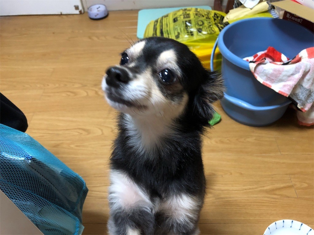 f:id:akie1000:20180921004509j:image